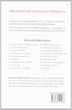 Cristianos en la sociedad (Biblioteca de Iniciación Teológica) (Spanish Edition) Melé Carné, Domènec